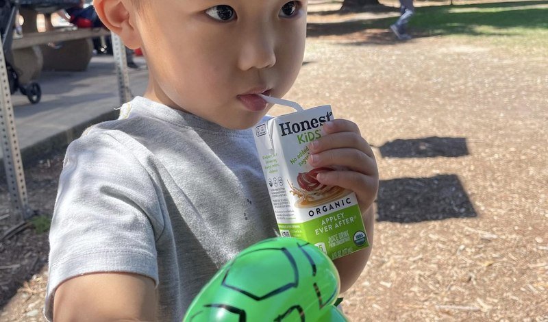 A child with his balloon turtle at a birthday party in the park, September 2022